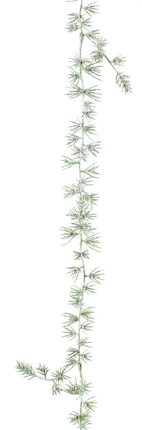 Zederngirlande gruen -  BILA