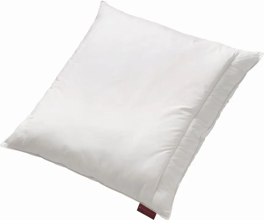 Kopfkissen ca.80x80 cm 2838.00 WASCHMICH PLUS