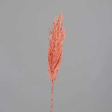 Pampas-Wedel 94cm