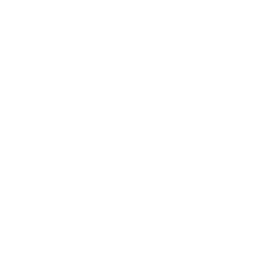 insta-icon