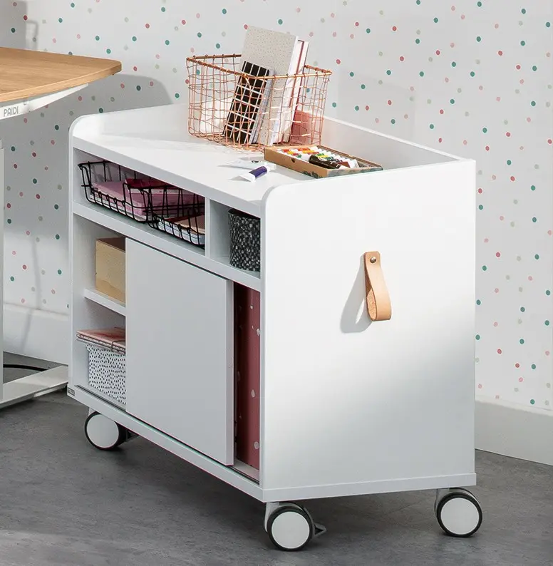 Rollcontainer     z E-LION 1