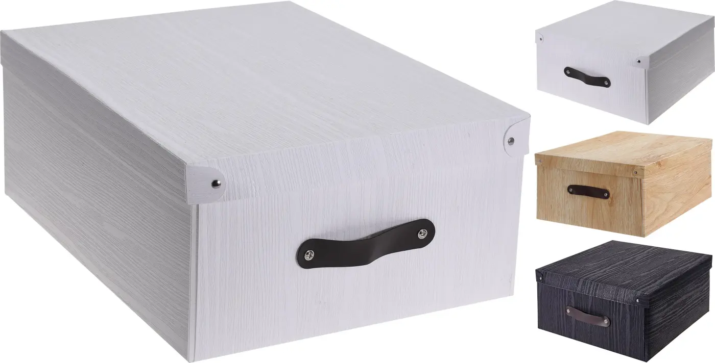 Aufbewahrungsbox 35x26x15cm CY1000010