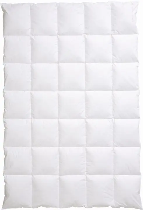 Dauneneinziehdecke 155x220 cm 5102.03 MOMENTS