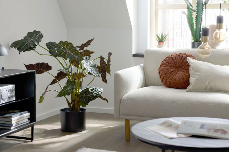 roomio-wohnzimmereinrichtung-bei-moebel-wallach