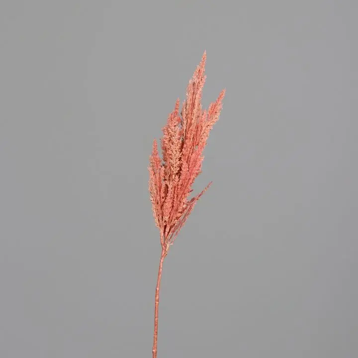 Pampas-Wedel 83cm