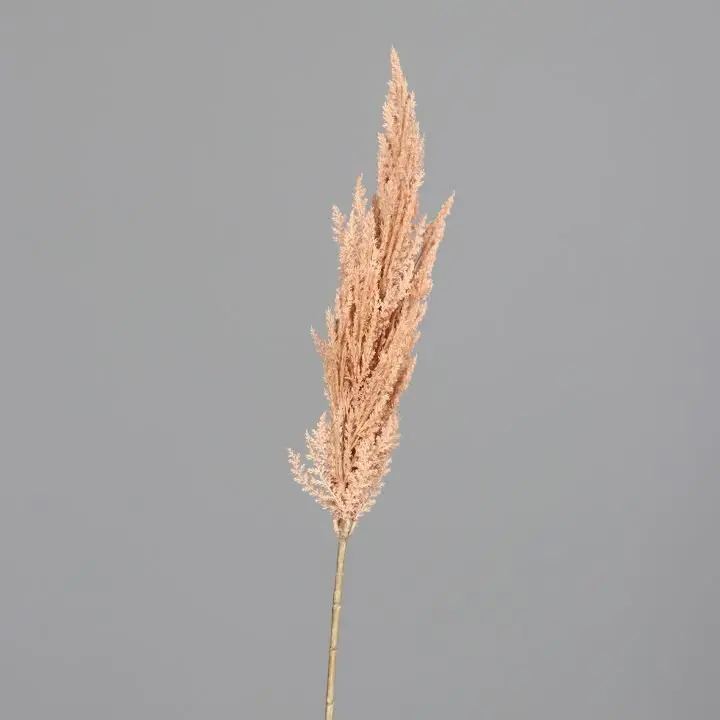 Pampas-Wedel 94cm
