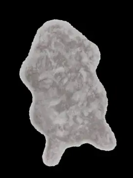 Teppich TENDER 6281055180004/16698 (INTERLIVING)