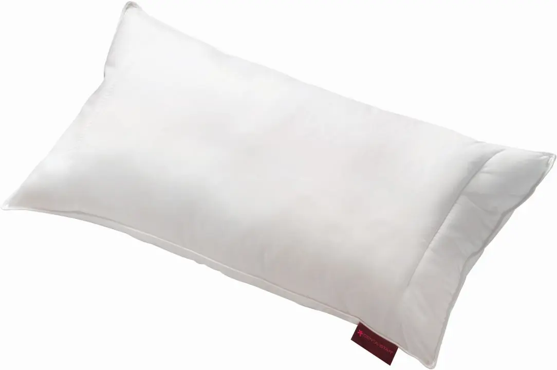 Kopfkissen ca.40x80 cm 2879.00 WASCHMICH PLUS