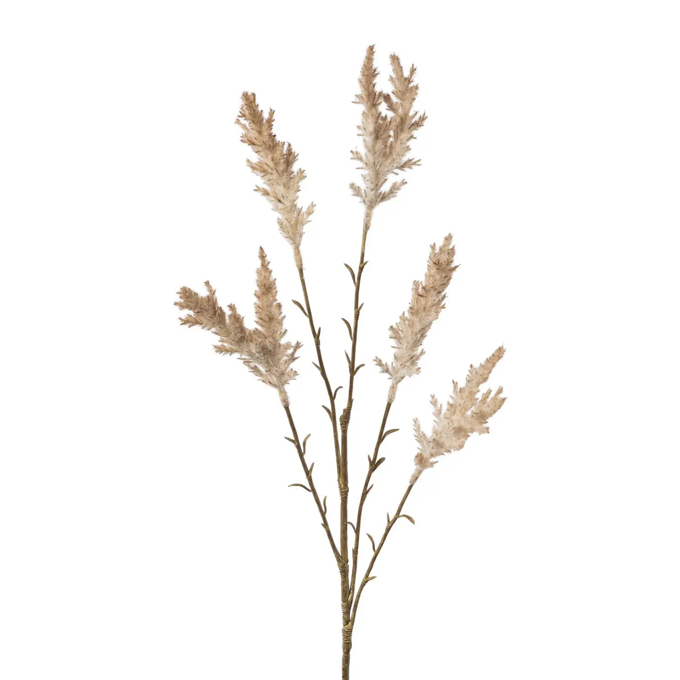 Miscanthuszweig grau -  BALVAN