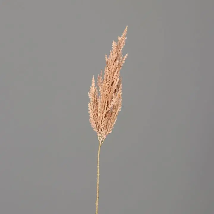 Pampas-Wedel 83cm